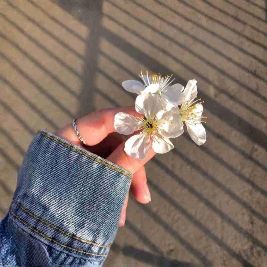 Girl Style Pic DP Photos