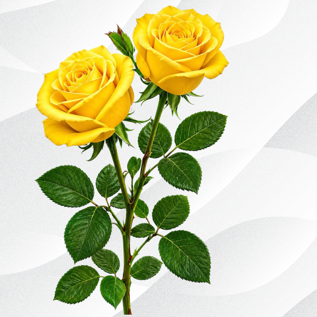 flower dp for instagram