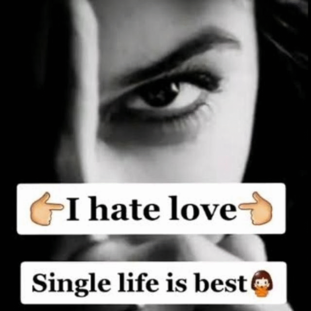 I Hate My Life DP i