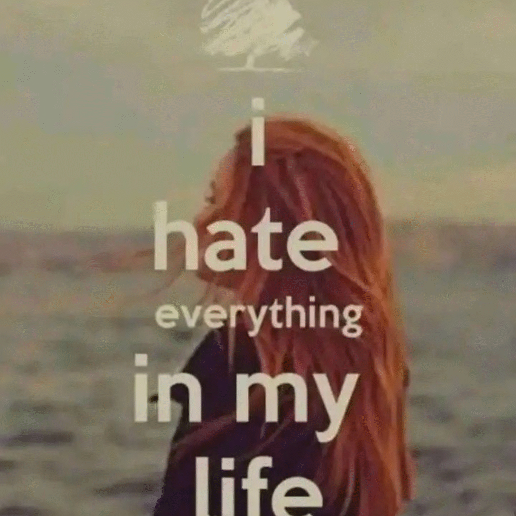 I Hate My Life DP i