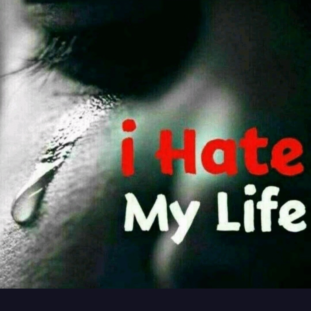 I Hate My Life DP