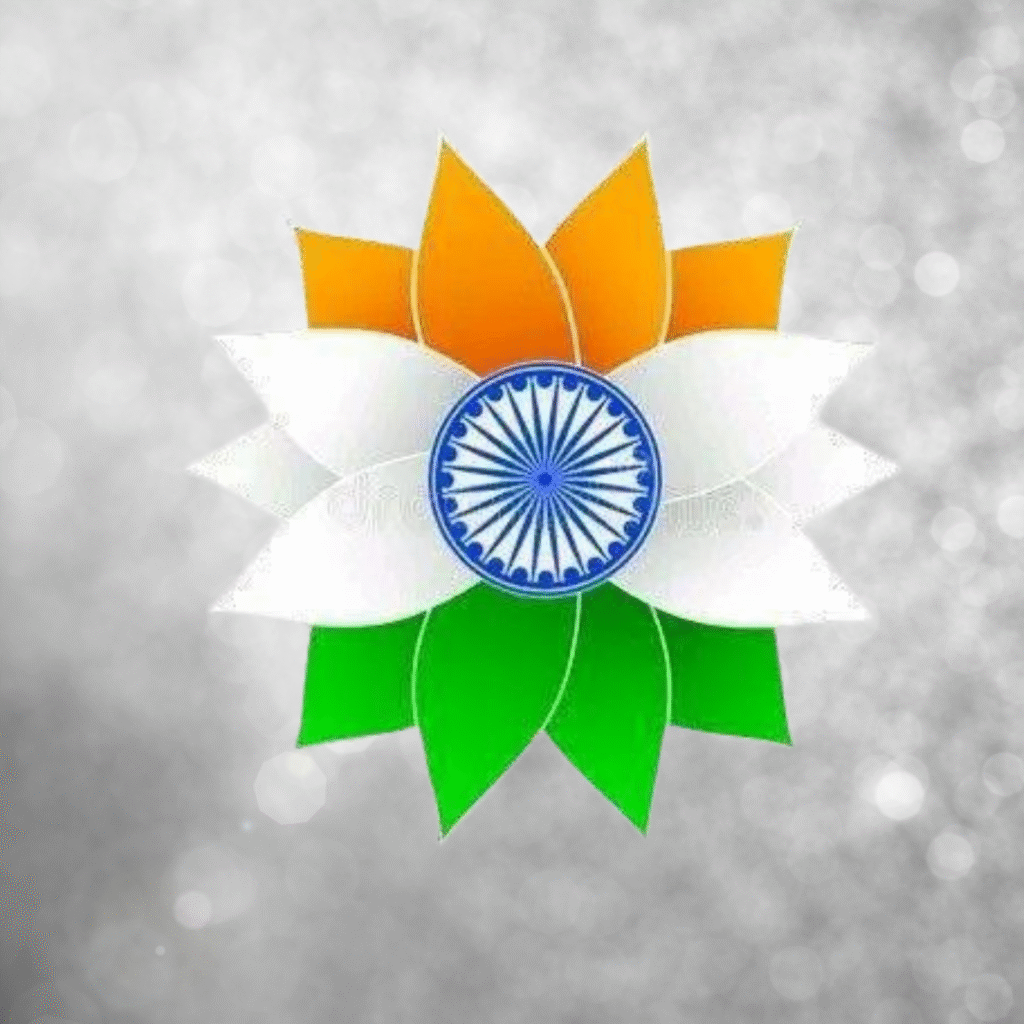 Indian Flag DP