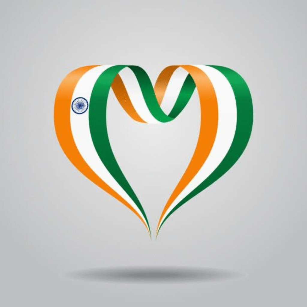 Stylish Indian flag DP