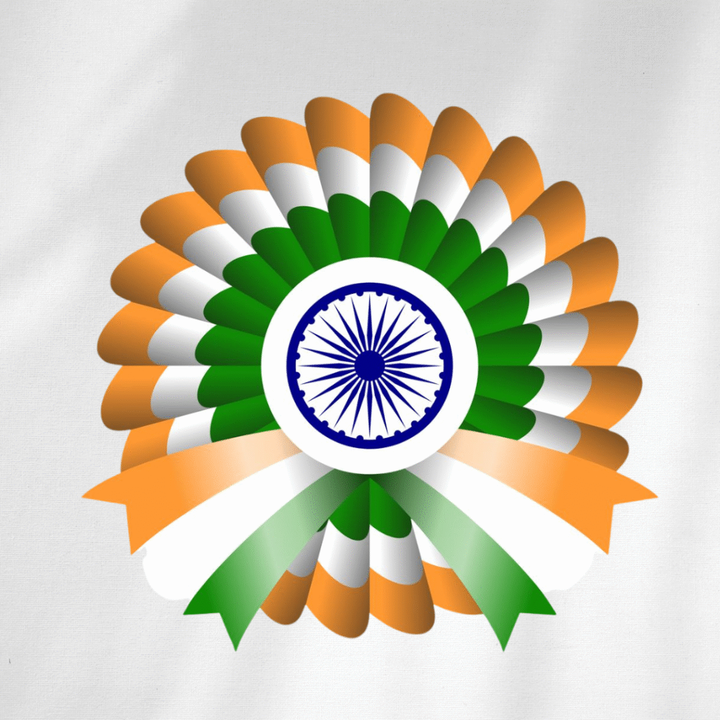 Stylish Indian flag DP
