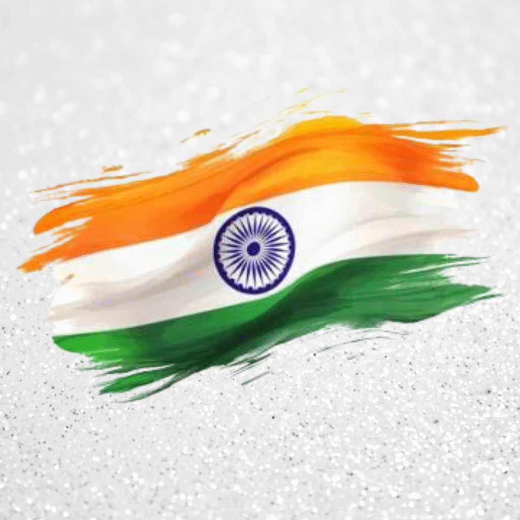 Beautiful Indian flag DP
