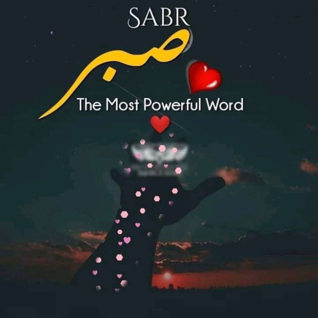 Sabr DP
