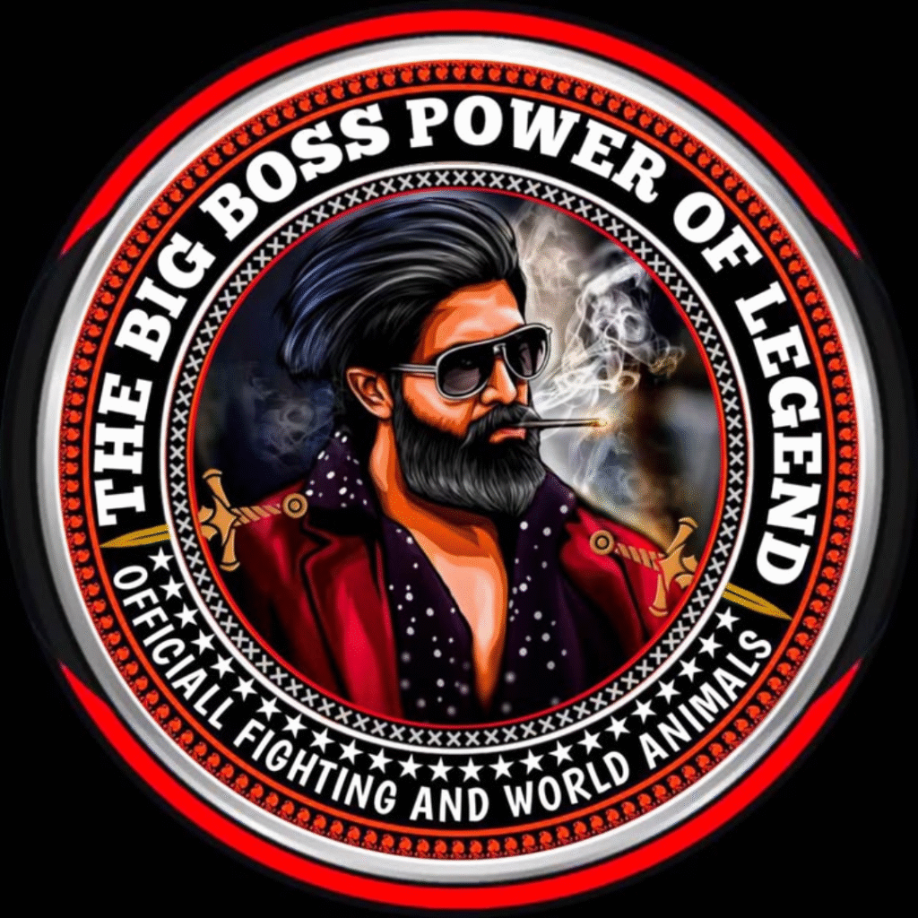 Satta Dp Boss