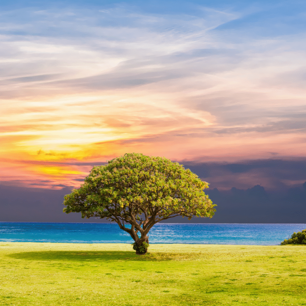Nature DP for Whatsapp