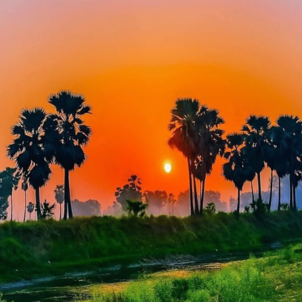 Nature DP for Instagram