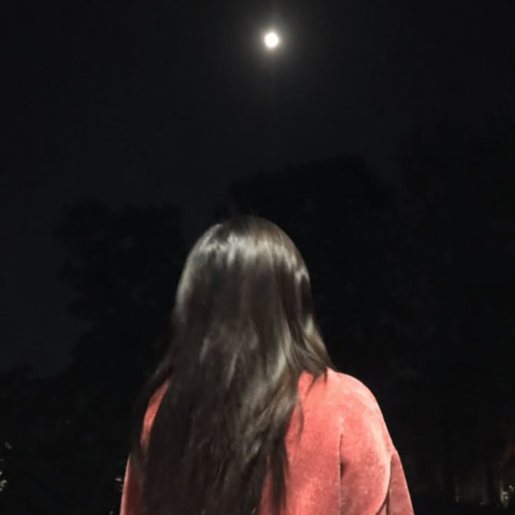 Hidden Face Night Moon Girl DP