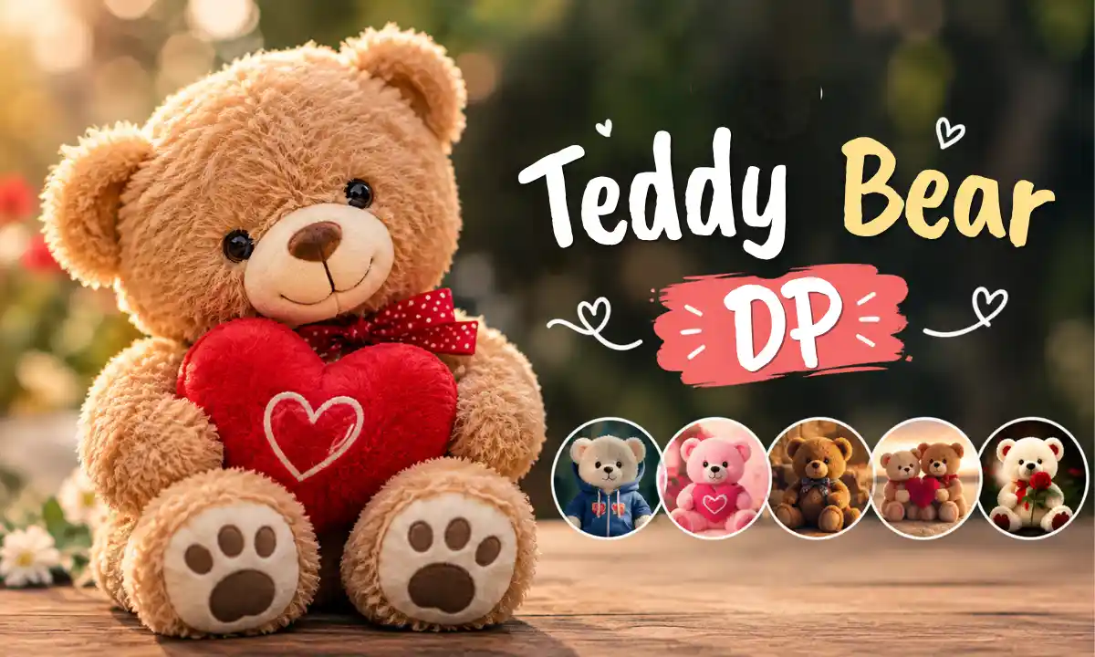 Teddy Bear DP
